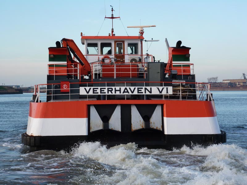 Veerhaven VI - Bison